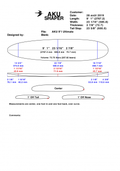 Perfect Stuff 9'1 LONGBOARD BAMBOU